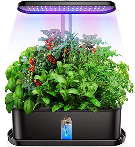Best Indoor Vegetable Garden System