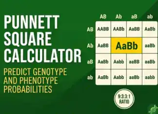 Punnett Square Calculator