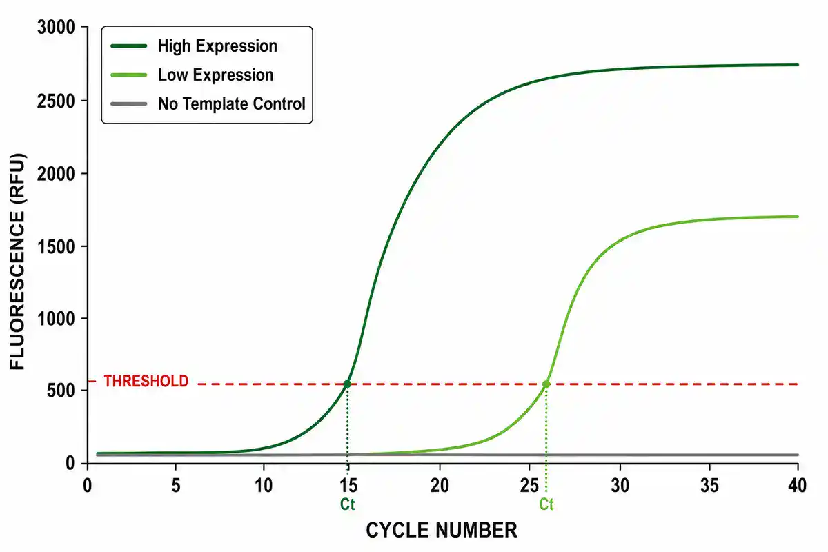 qPCR amplification curve chart showing fluorescence versus cycle number with a threshold line and Ct values for high expression, low expression, and no template control samples