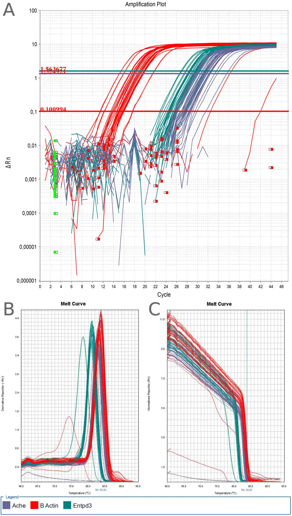 Three-panel real-time PCR instrument output. Panel A is an amplification plot with normalised fluorescence on a logarithmic axis against cycle number, showing three sets of curves for the targets Ache, B Actin and Entpd3, each crossing its own threshold line at a different cycle. Panels B and C show melt curve analyses plotting derivative and normalised reporter signal against temperature, with a melting temperature of 83.83 degrees Celsius marked.