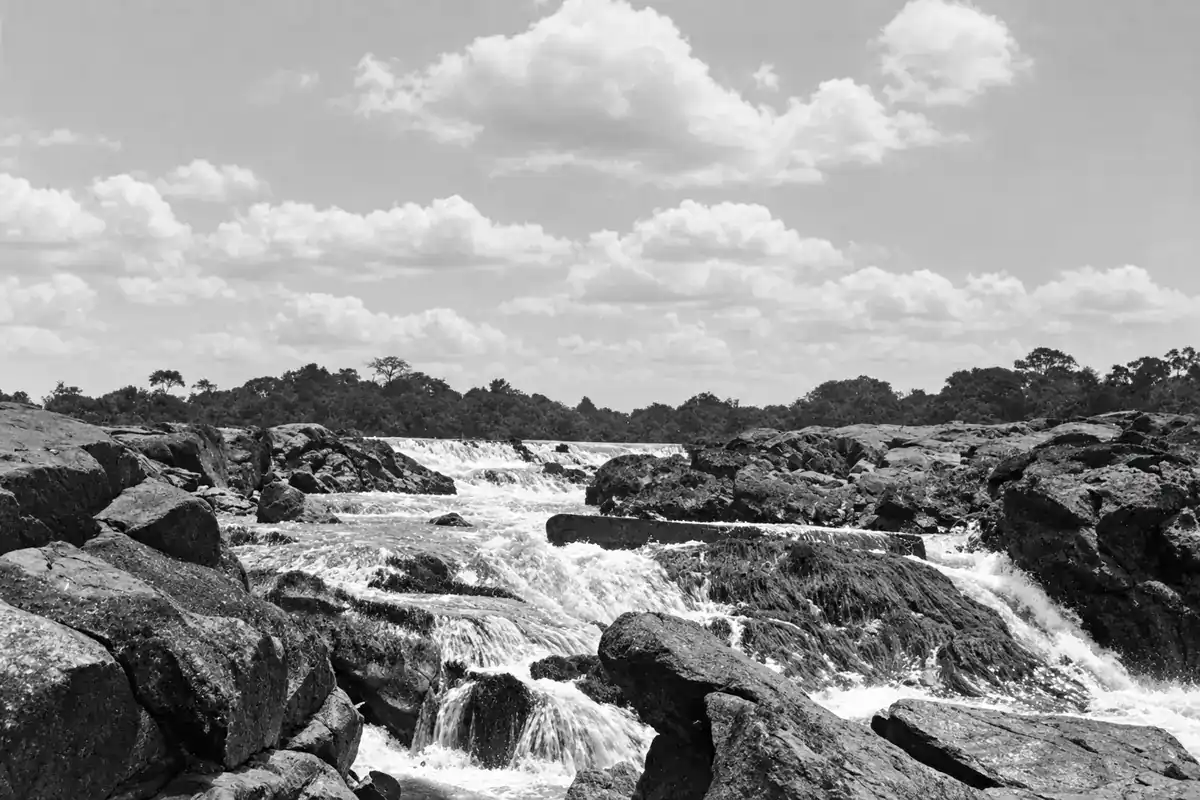 Historic black and white photo of Raleigh Falls, rapids on the Coppename River in Suriname, with forest on the horizon