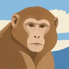 Head of a Sela macaque showing its pale face and brown crown Head of a Sela macaque showing its pale face and brown crown