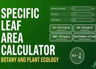 Specific Leaf Area Calculator