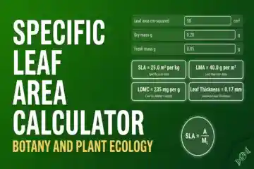 Specific Leaf Area Calculator