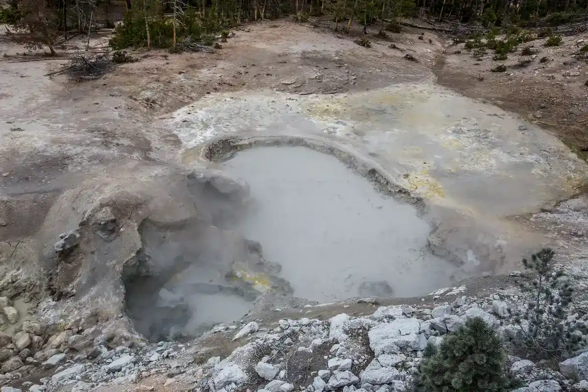 Milky gray acidic pool with yellow sulfur deposits at Sulphur Caldron in Yellowstone National Park
