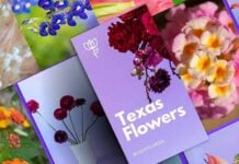 Blooming Texas: 25 Gorgeous Native Flowers Revealed!