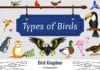 Types of Birds