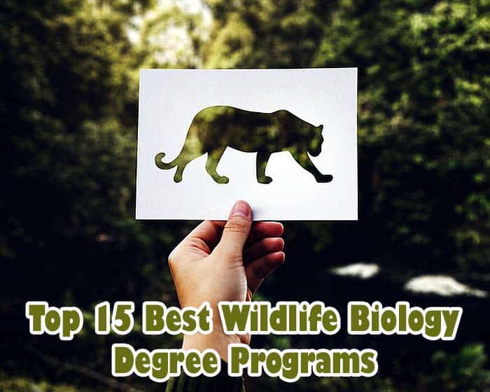 Wildlife Biology Degree Programs