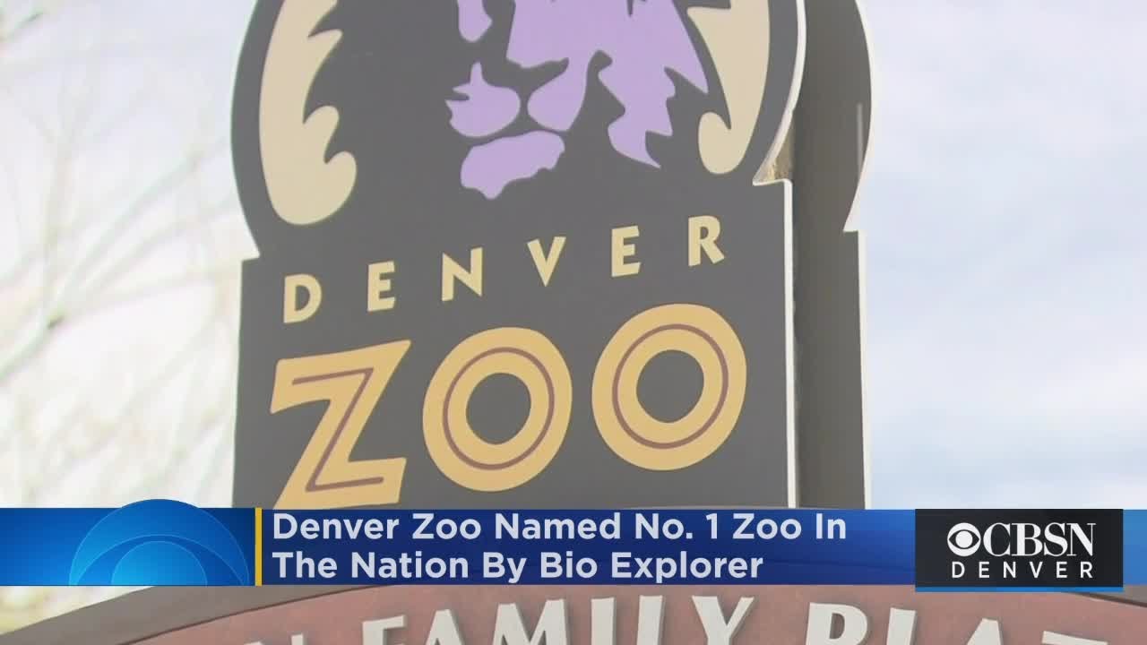 Denver Zoo Named No. 1 Zoo In The Nation By Bio Explorer