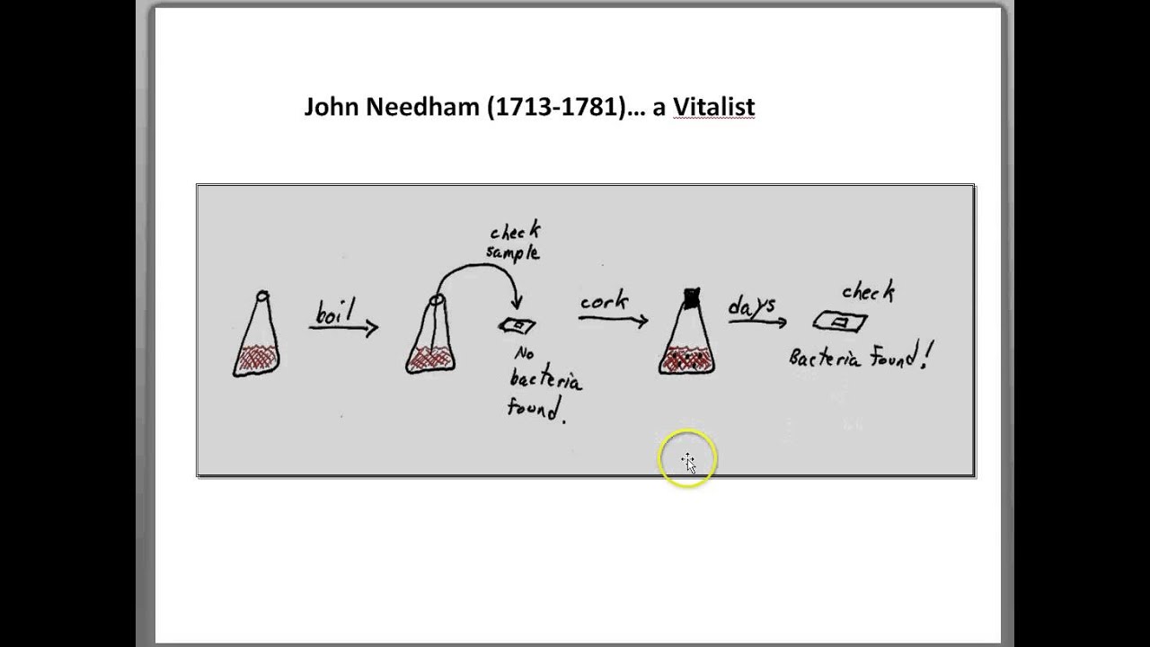 Spontaneous generation of bacteria... Needham and Spallanzani